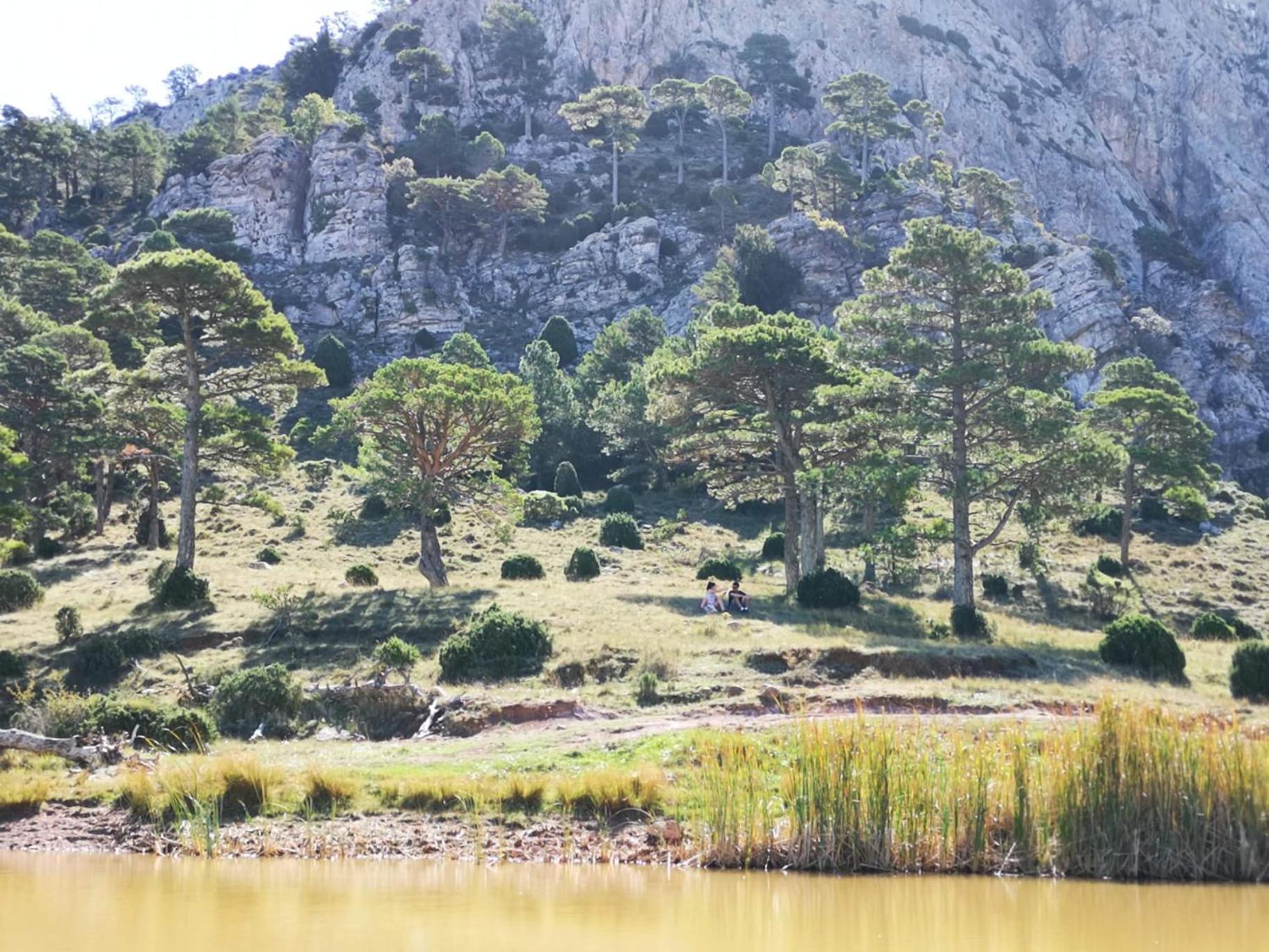 L'Antic Forn De Pauels Villa ภายนอก รูปภาพ